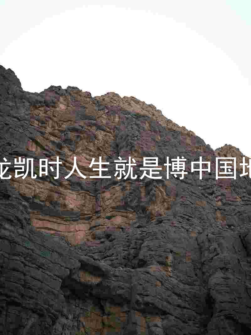尊龙凯时人生就是博中国地区