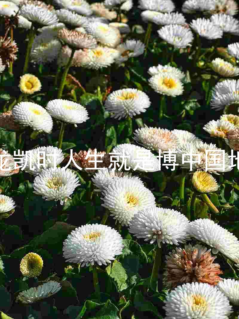 尊龙凯时人生就是博中国地区