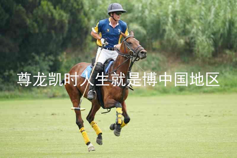 尊龙凯时人生就是博中国地区