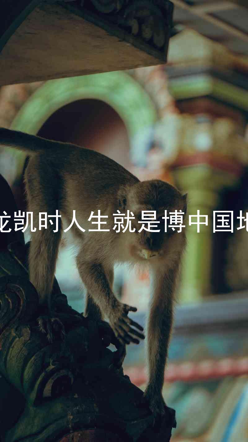 尊龙凯时人生就是博中国地区